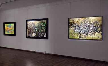 Hantai 100 - centennary exhibition